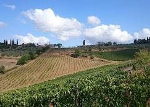 casale in vendita a Greve in Chianti