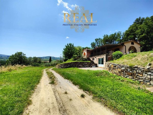 esavano in vendita a Greve in Chianti in zona Il Piano