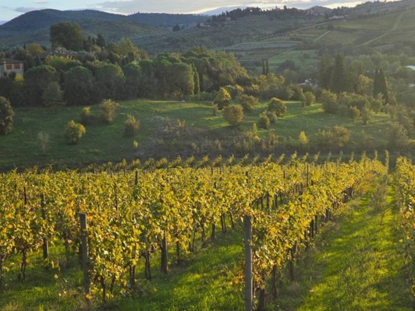 negozio in vendita a Greve in Chianti