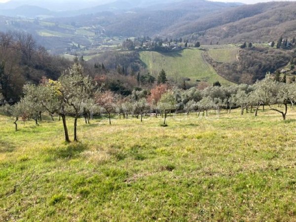 terreno agricolo in vendita a Greve in Chianti in zona La Panca