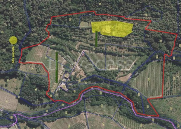 negozio in vendita a Greve in Chianti