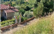 terreno agricolo in vendita a Greve in Chianti