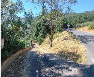 terreno agricolo in vendita a Greve in Chianti
