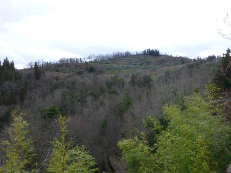 terreno agricolo in vendita a Greve in Chianti