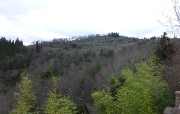 terreno agricolo in vendita a Greve in Chianti