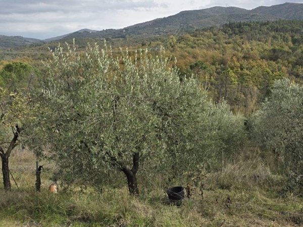terreno agricolo in vendita a Greve in Chianti in zona Strada in Chianti