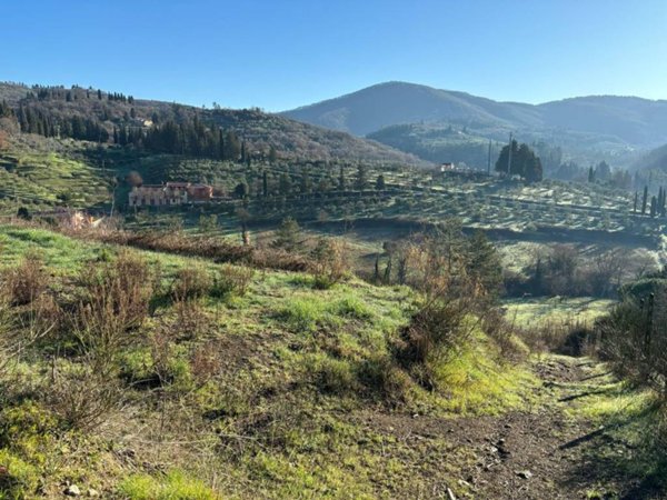 terreno agricolo in vendita a Greve in Chianti
