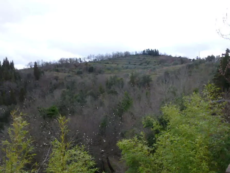 terreno agricolo in vendita a Greve in Chianti