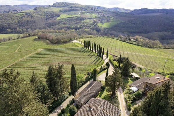 azienda agricola in vendita a Greve in Chianti