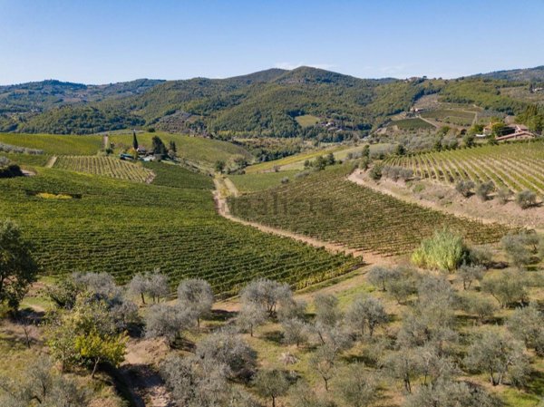 azienda agricola in vendita a Greve in Chianti