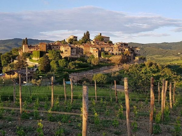 appartamento in vendita a Greve in Chianti