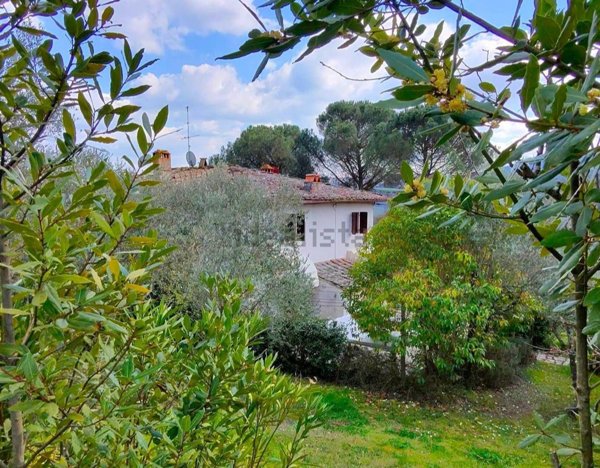 casa indipendente in vendita a Greve in Chianti in zona Borgo di Dudda