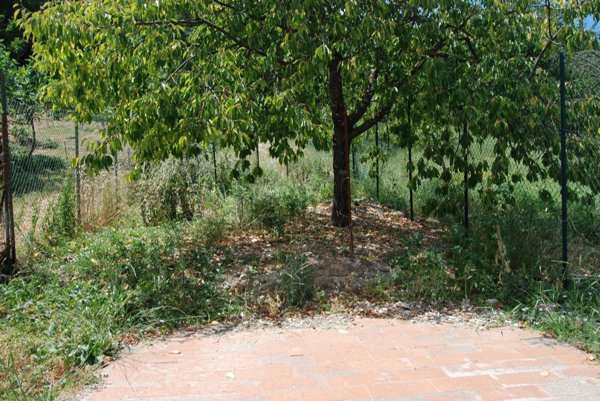 appartamento in vendita a Greve in Chianti in zona Montefioralle