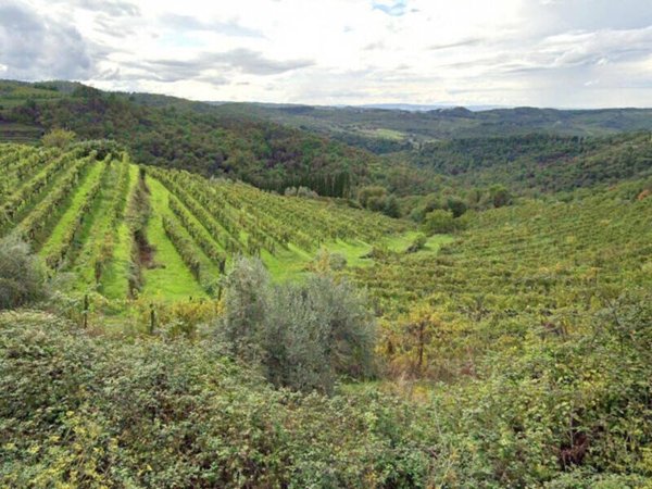 terreno agricolo in vendita a Greve in Chianti in zona Petriolo
