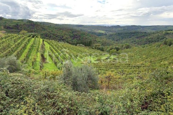 terreno agricolo in vendita a Greve in Chianti in zona Petriolo