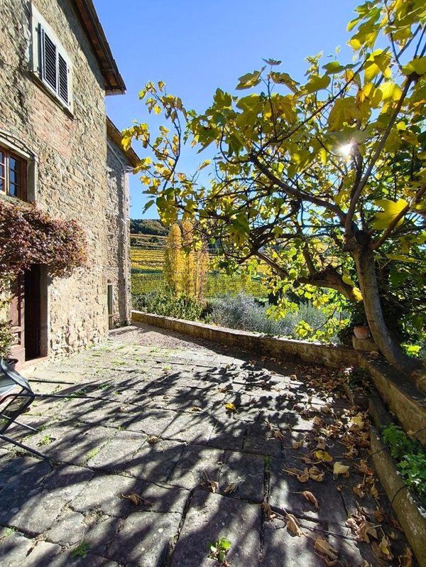 pentavano in vendita a Greve in Chianti in zona Lamole