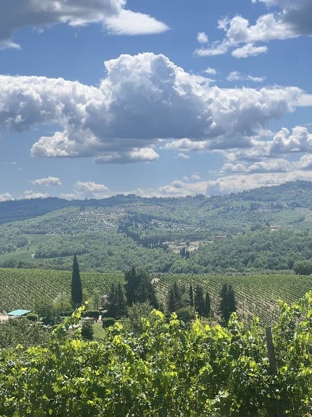 appartamento in vendita a Greve in Chianti