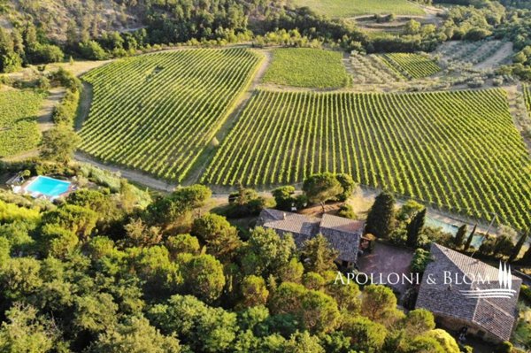 villa in vendita a Greve in Chianti