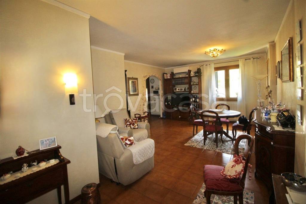 immagine annuncio 0 di 15