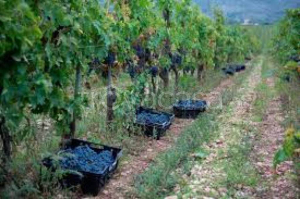 ufficio in vendita a Greve in Chianti
