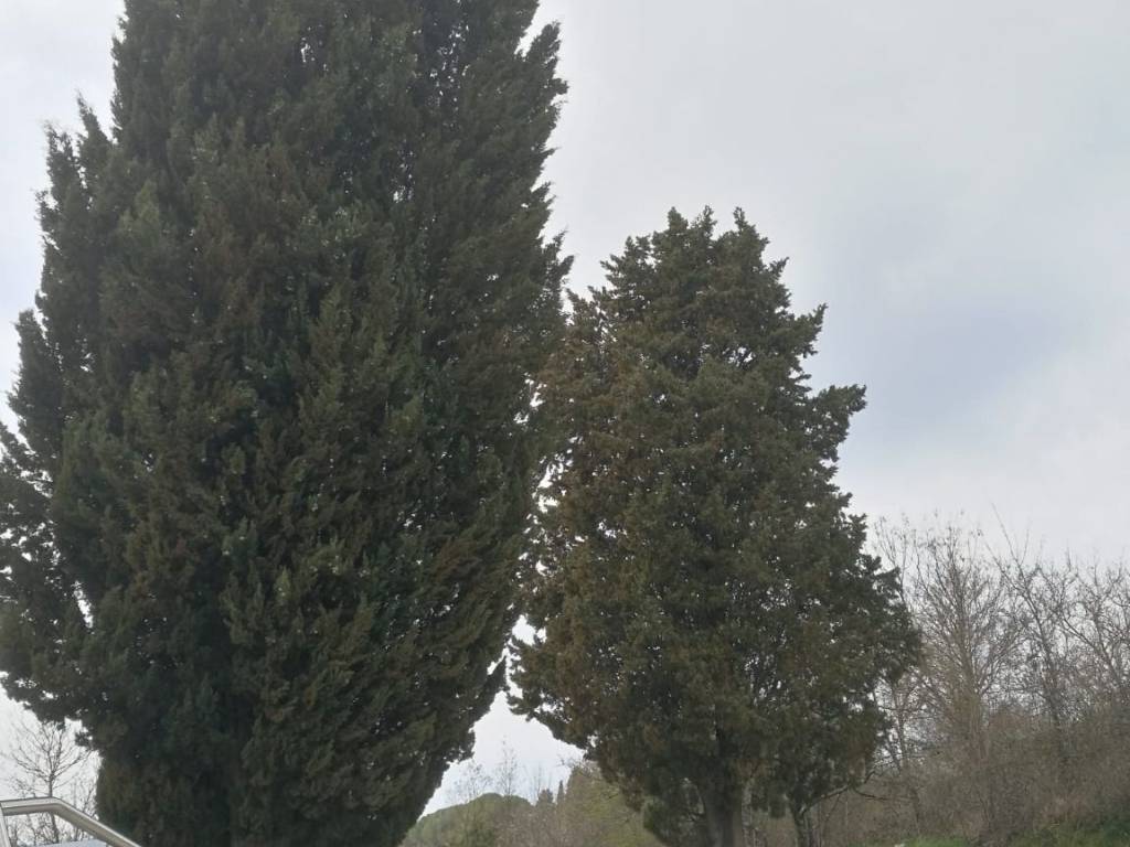 terreno agricolo in vendita ad Impruneta
