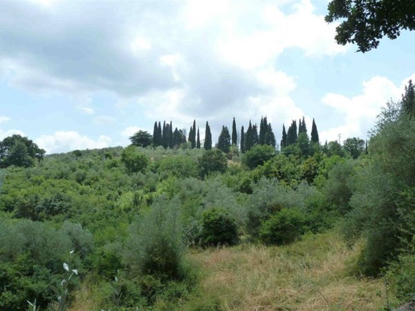 terreno agricolo in vendita ad Impruneta