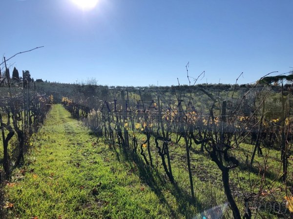 terreno agricolo in vendita ad Impruneta in zona Pozzolatico