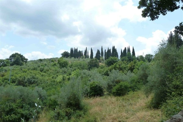 terreno agricolo in vendita ad Impruneta