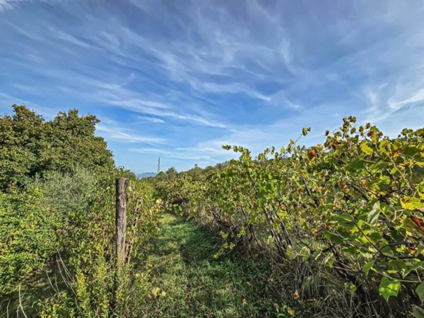 terreno agricolo in vendita ad Impruneta