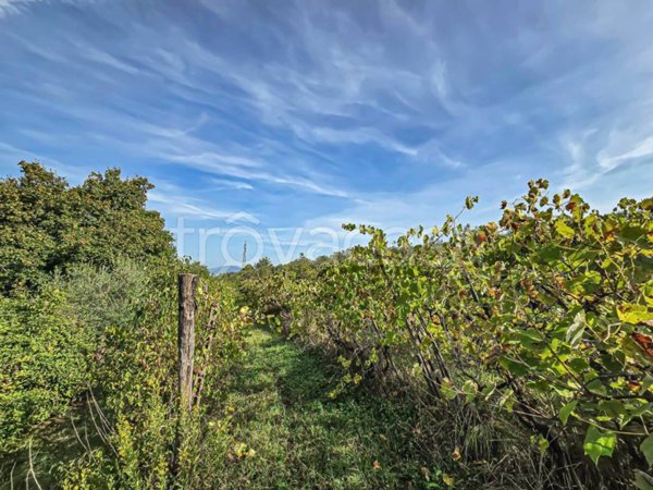 terreno agricolo in vendita ad Impruneta in zona Le Rose
