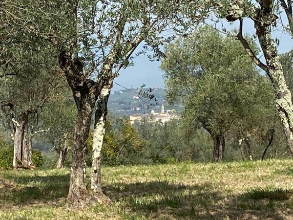 terreno agricolo in vendita ad Impruneta in zona Tavarnuzze