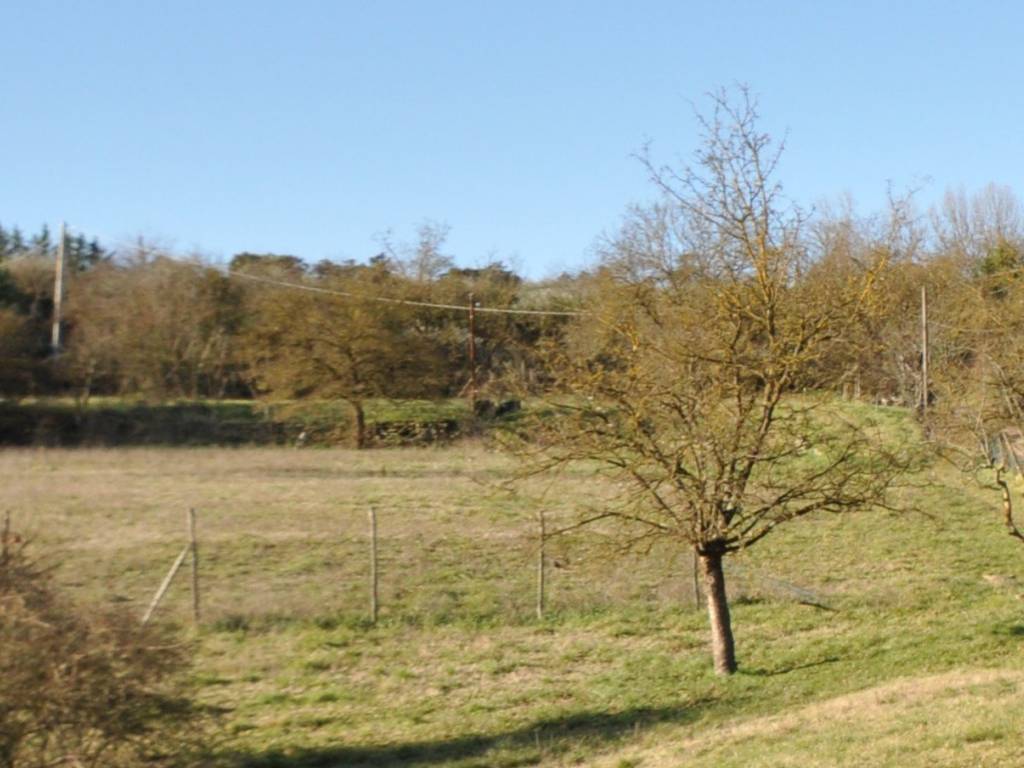 terreno agricolo in vendita ad Impruneta in zona Tavarnuzze