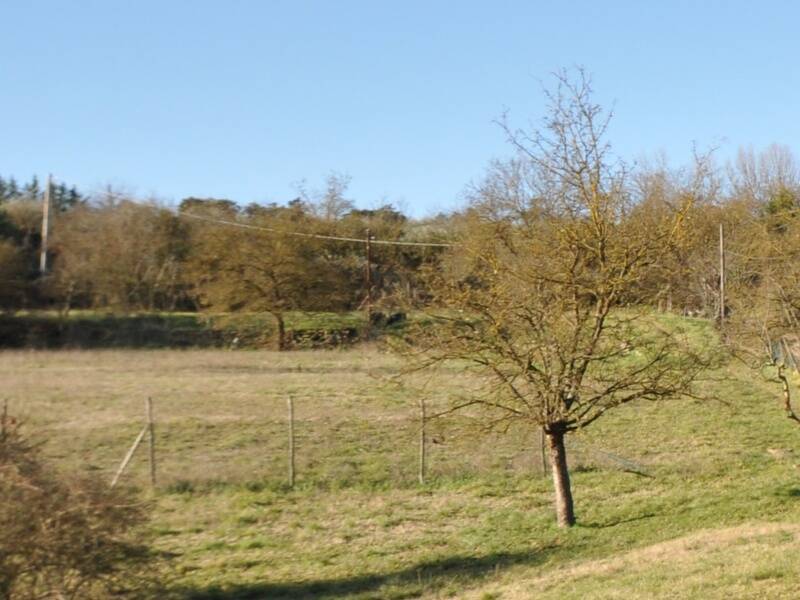 terreno agricolo in vendita ad Impruneta in zona Tavarnuzze