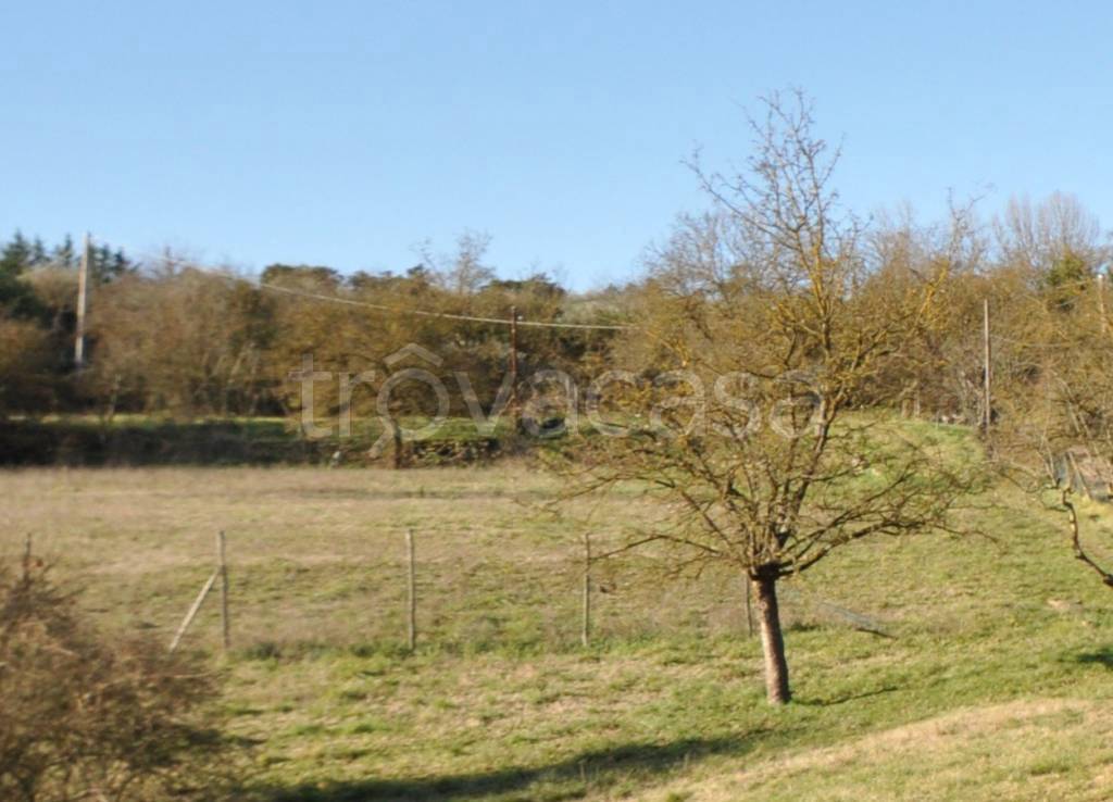 terreno agricolo in vendita ad Impruneta in zona Tavarnuzze