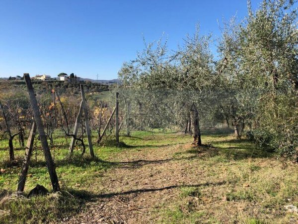 terreno agricolo in vendita ad Impruneta in zona Tavarnuzze