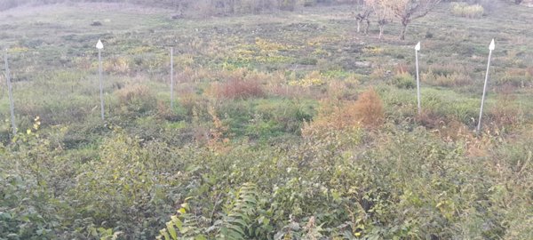terreno agricolo in vendita ad Impruneta in zona Tavarnuzze