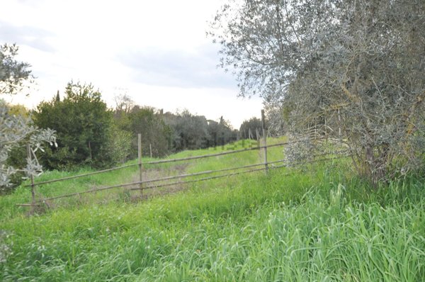 terreno agricolo in vendita ad Impruneta
