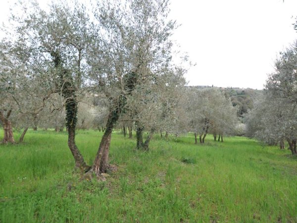 terreno agricolo in vendita ad Impruneta