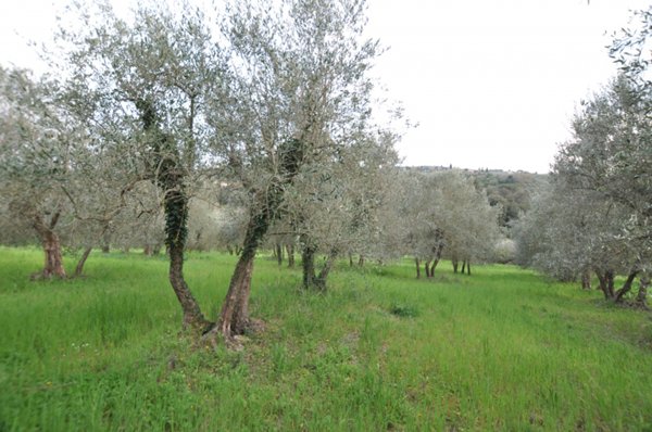 terreno agricolo in vendita ad Impruneta in zona Pozzolatico