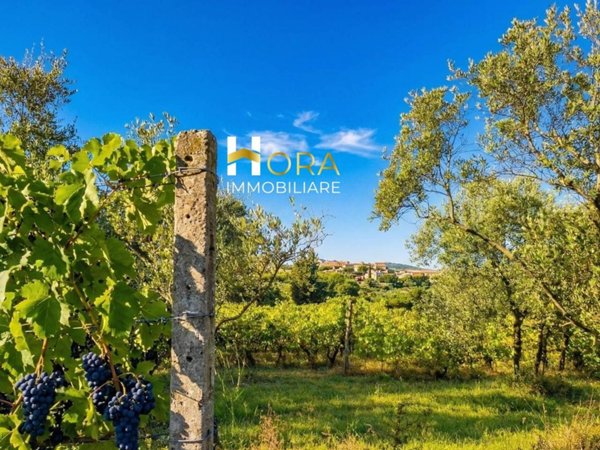 azienda agricola in vendita ad Impruneta in zona Tavarnuzze