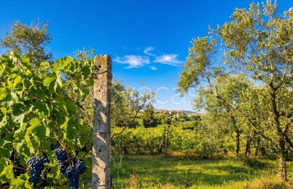 azienda agricola in vendita ad Impruneta in zona Tavarnuzze