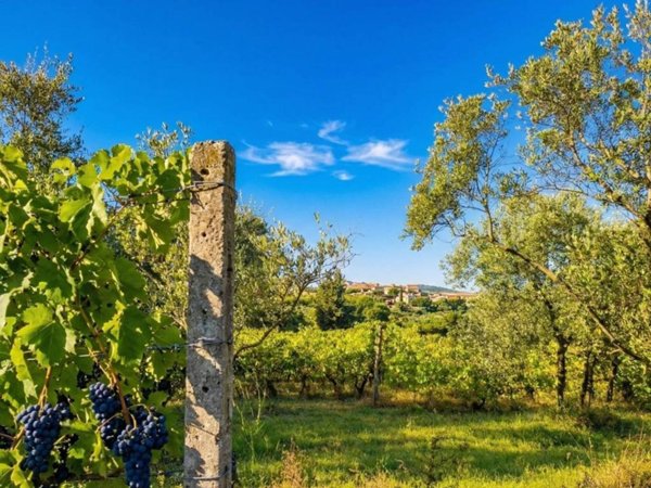 terreno agricolo in vendita ad Impruneta in zona Tavarnuzze
