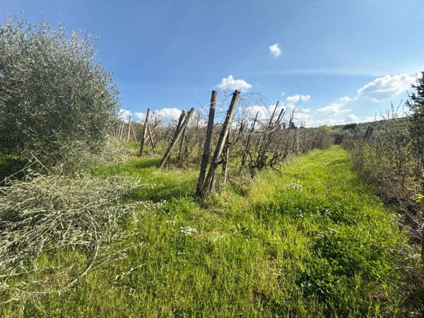 terreno agricolo in vendita ad Impruneta in zona Tavarnuzze
