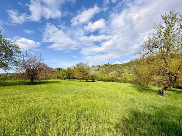 terreno agricolo in vendita ad Impruneta