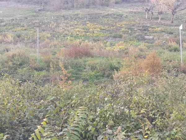 terreno agricolo in vendita ad Impruneta in zona Tavarnuzze