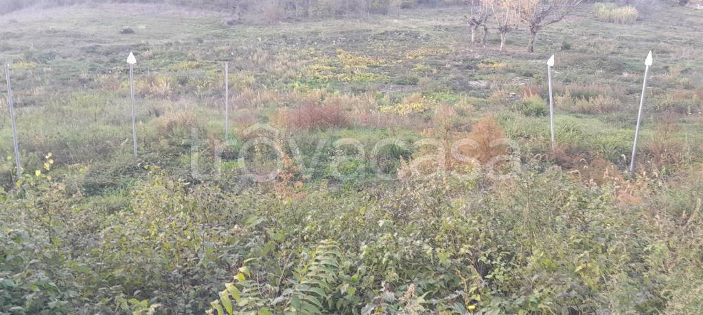 terreno agricolo in vendita ad Impruneta in zona Tavarnuzze