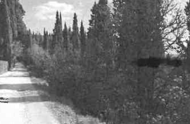 terreno agricolo in vendita ad Impruneta