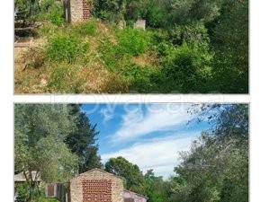 terreno agricolo in vendita ad Impruneta