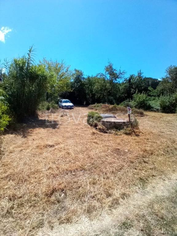 terreno agricolo in vendita a Lastra a Signa