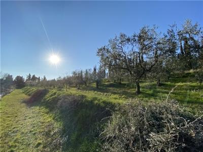 terreno agricolo in vendita a Lastra a Signa